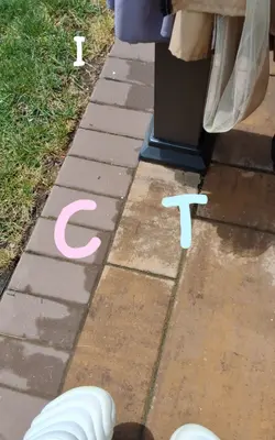 C + T