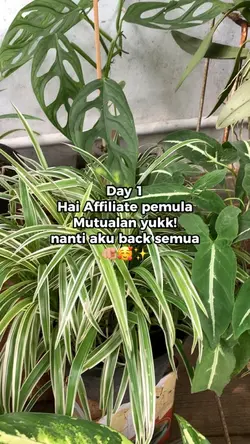 Affiliate pemula