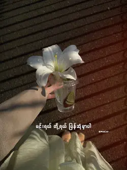 ချစ်ခြင်းတရားတို့ရှိ