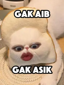 gak aib gak asik