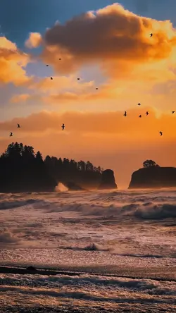 cinematic summer