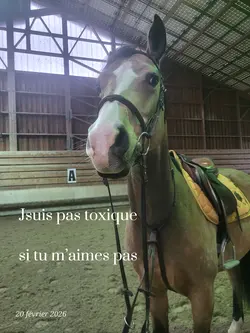 <3 