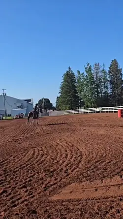 barrelss