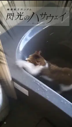 閃光のハサウェイ✨