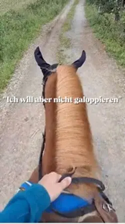 Dann bleib zuhause