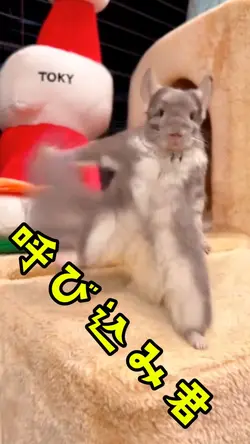 絶対そんな振り付けじゃない呼び込み君