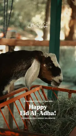 Idul Adha 𓃶