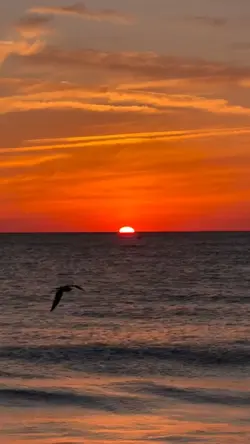 Napıyorsun mesela...