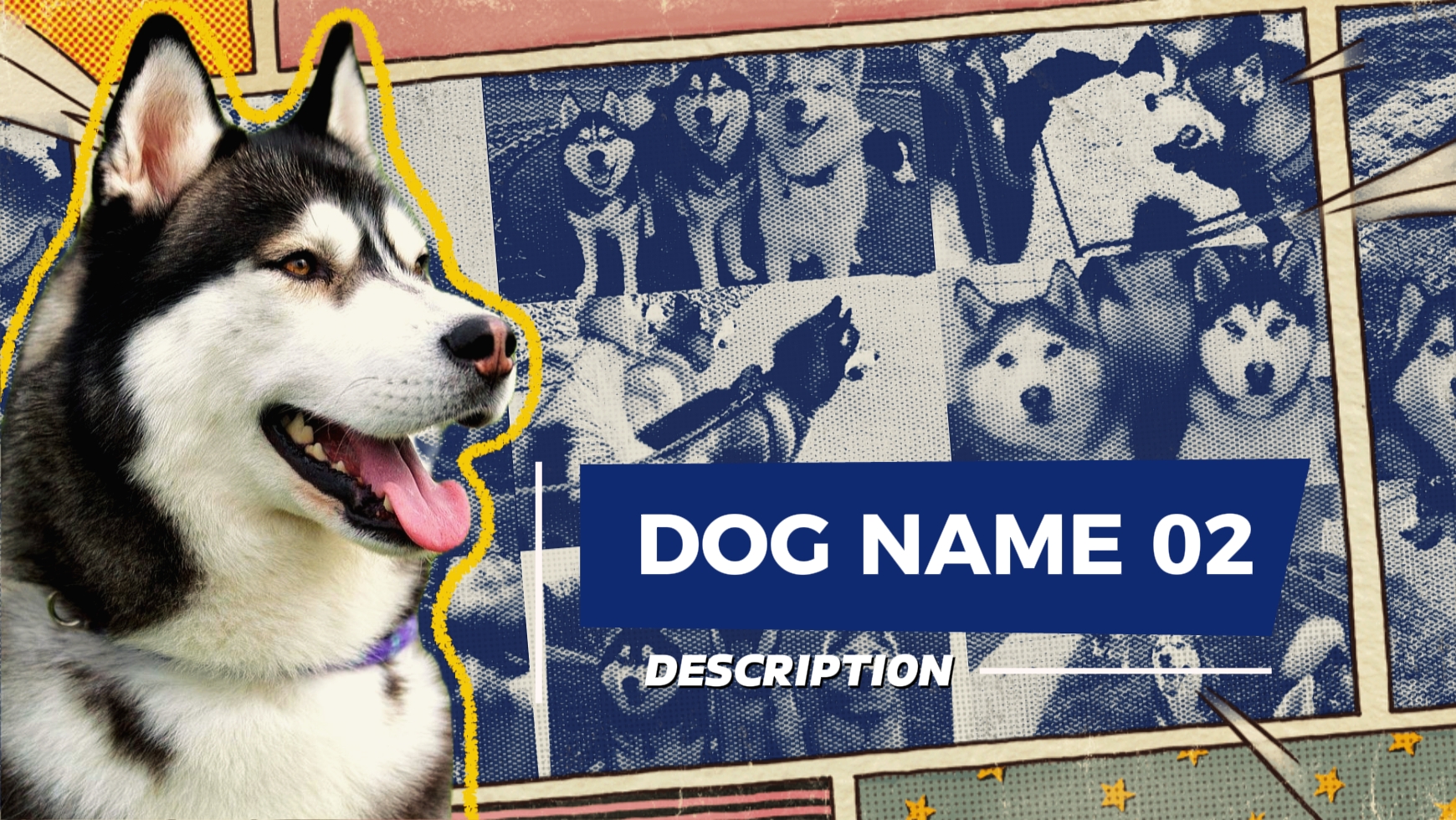 Intro 3 husky