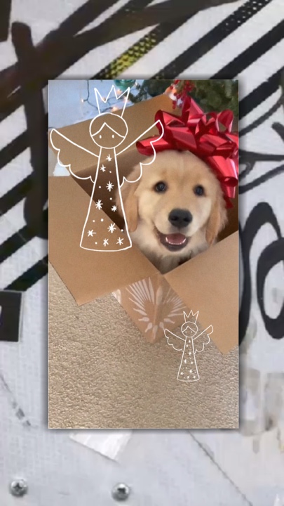Weihnachten Haustier