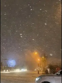 test_template_server