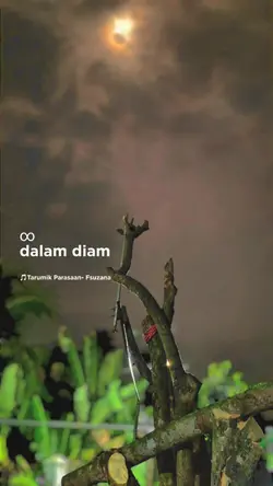 lirik bisa dihapus