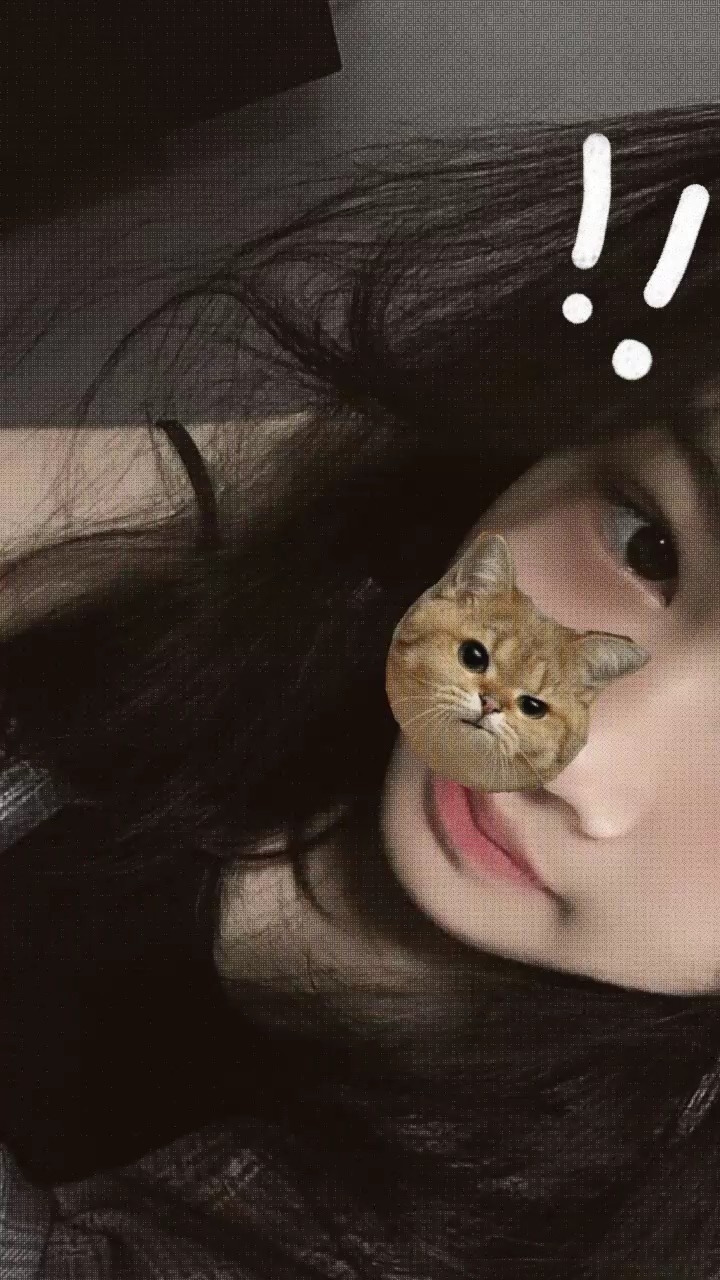 kucing bisa digsr