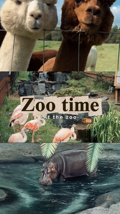 L'heure du zoo