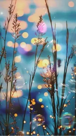 想うた/貴方は誰を想う？☺️