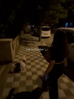 life in October˚｡⋆