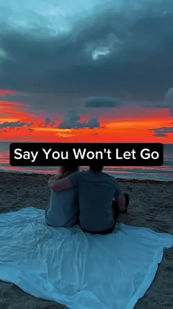 Say You Won't Let Go
