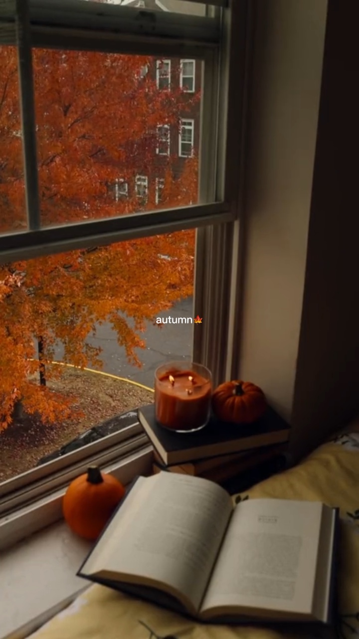 autumn🍁