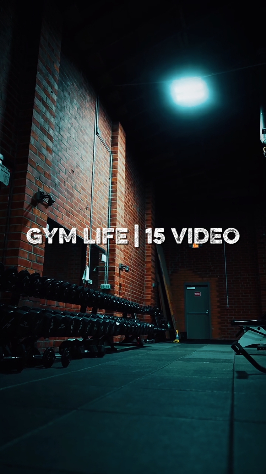 Gym life | 15