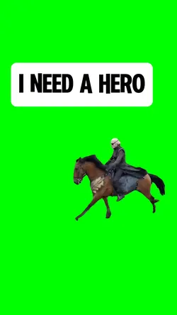 I NEED A HERO