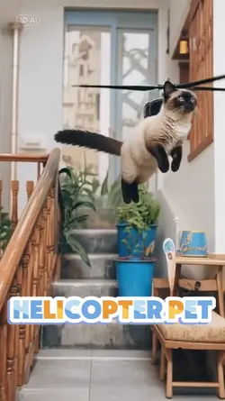 Helicopter pet