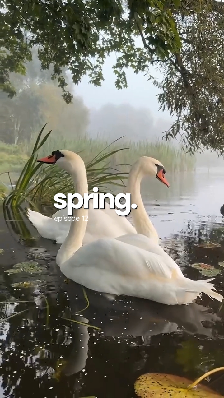 Frühling 