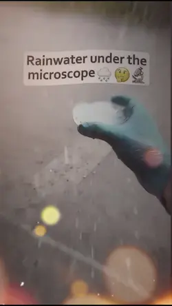 rainwater 