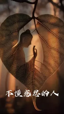 當你對一個人付出太多時 不懂感恩的人