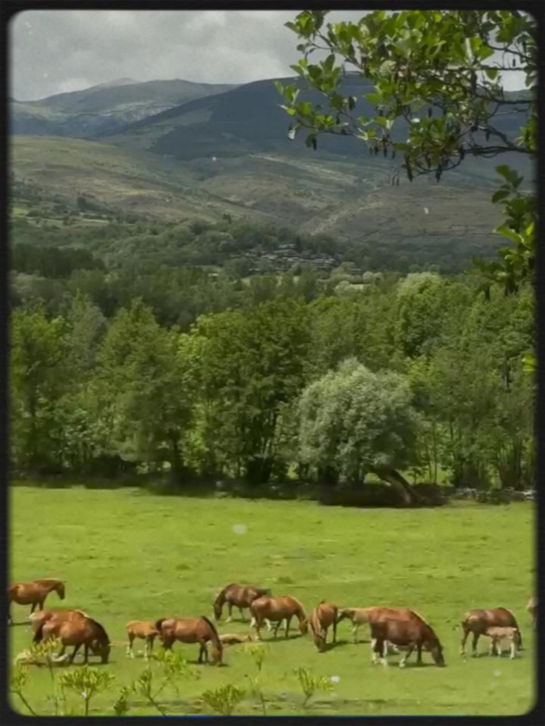 Sommer-Zusammenfassung