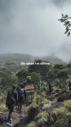 life when i'm offlin