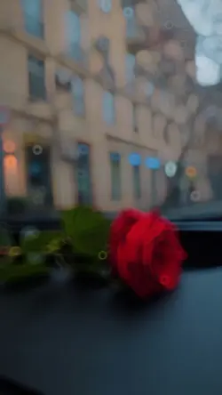 Slowmotion video ❤️‍🔥✨