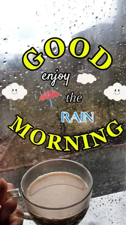 Rainy Morning 