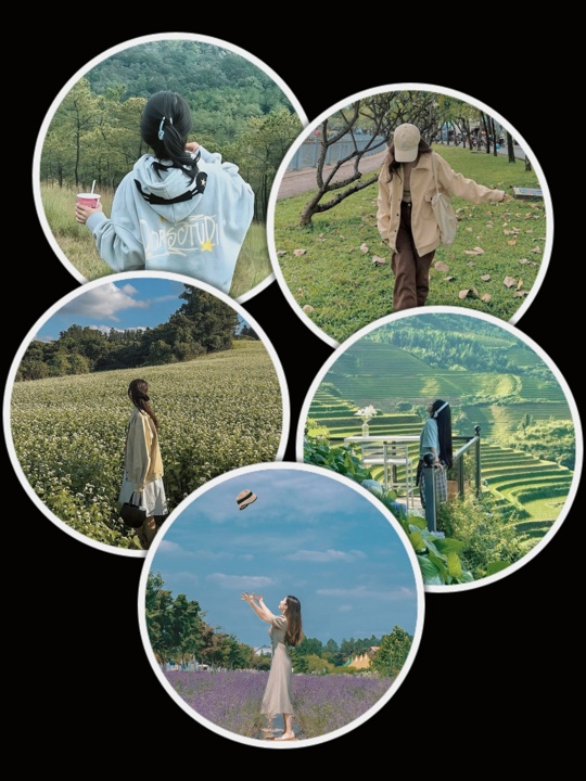 Transición de clip de 5Pic