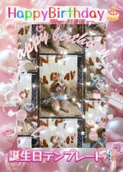 HappyBirthday/3clip
