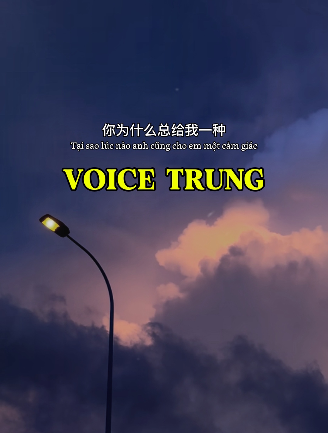 Voice Trung 
