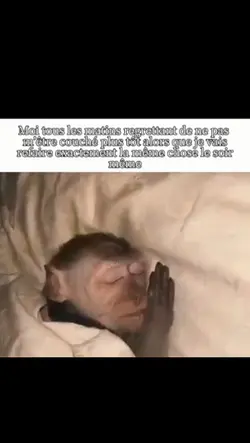 Bonne nuit