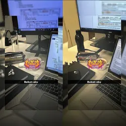 COLLAB BERDUA