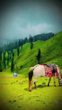 TikTok Slow Motion
