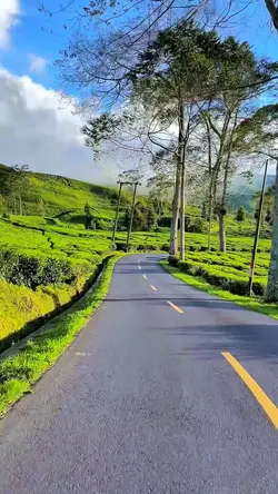 3 video HD aesthetic