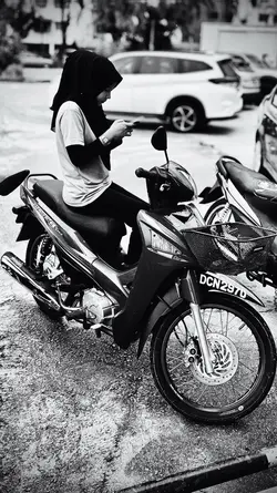 CakKapokUlarLidi