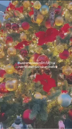 เทศกาลที่รอคอย