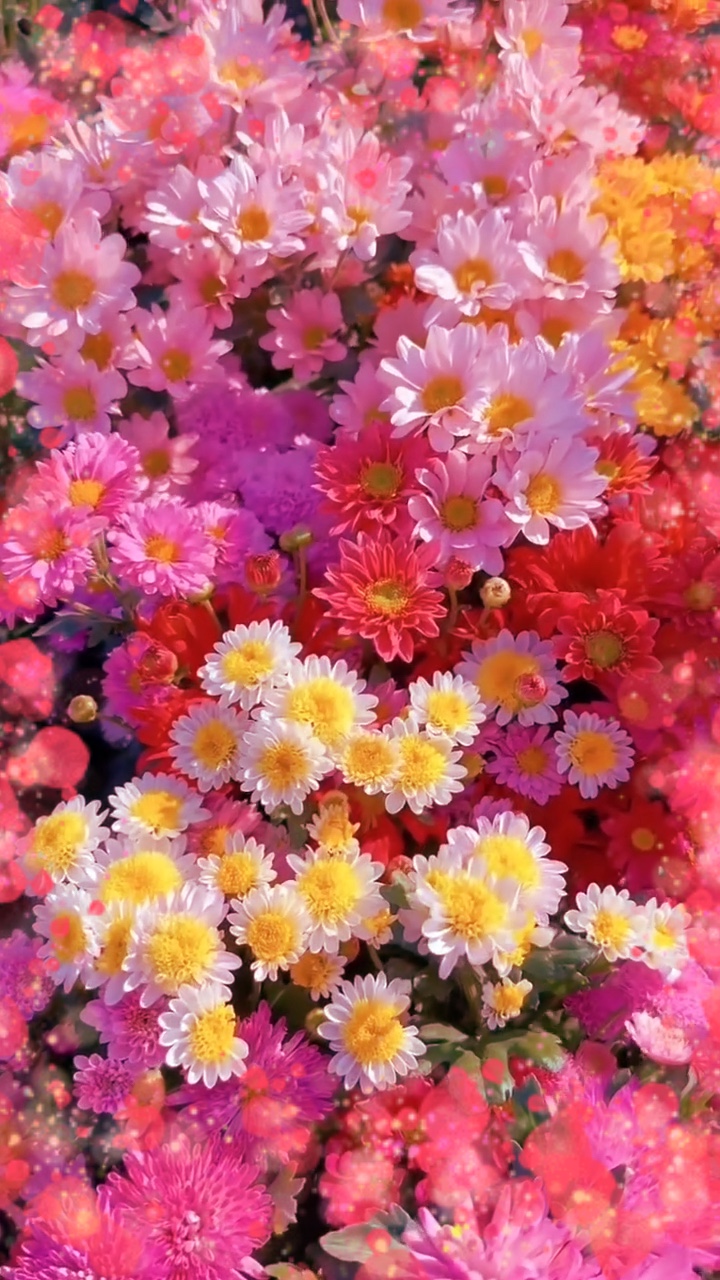 Plantilla de flores 1