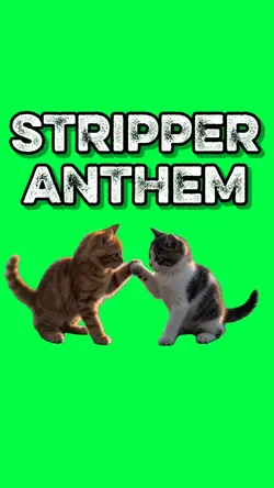 STRIPPER ANTHEM CATS