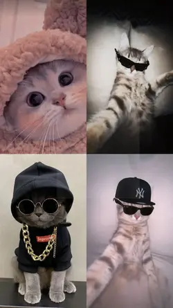 trend