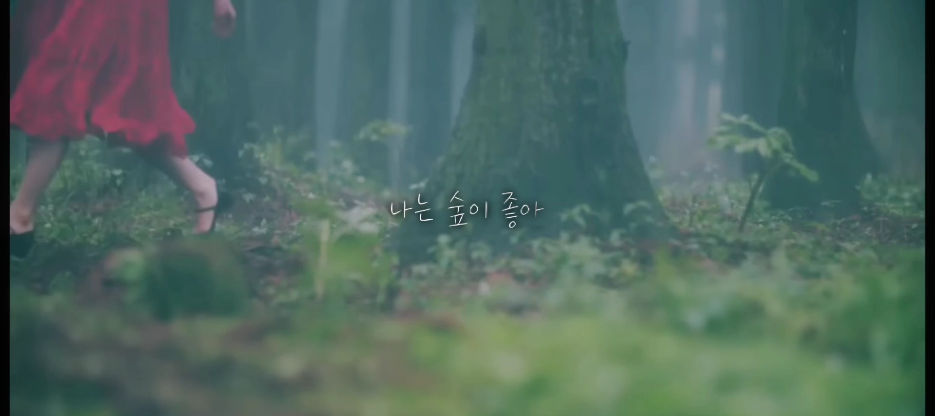 Pov.실종된 나의 친구