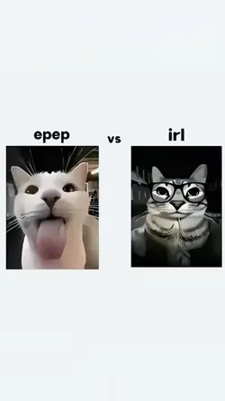 trend epep vs irl