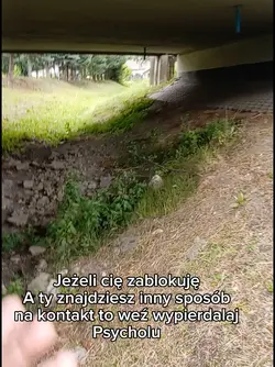 O co chodzi z tym 