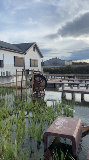 Kampung yokkaichi