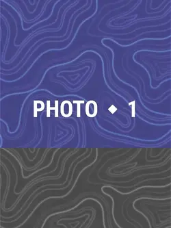 GOTA TREND THE ZAYED