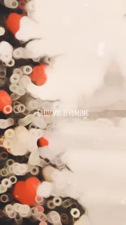 Christmas is coming❤️
